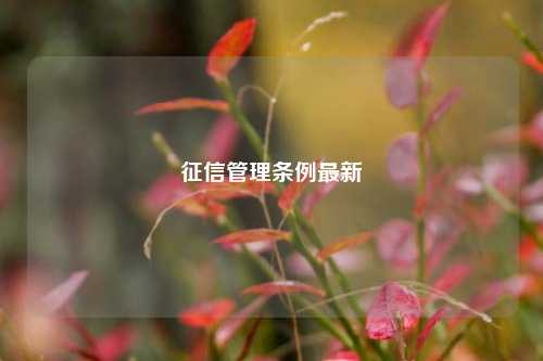 征信管理条例最新